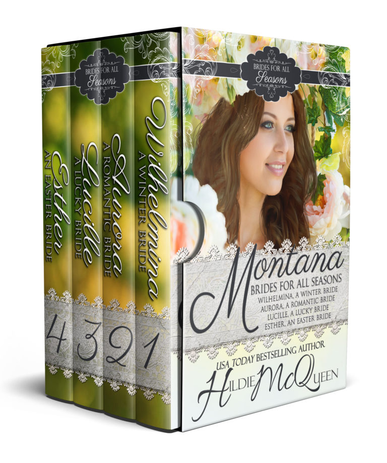 Montana Brides for All Seasons - Bookzzle