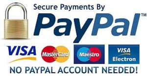 paypal payments for book promotions
